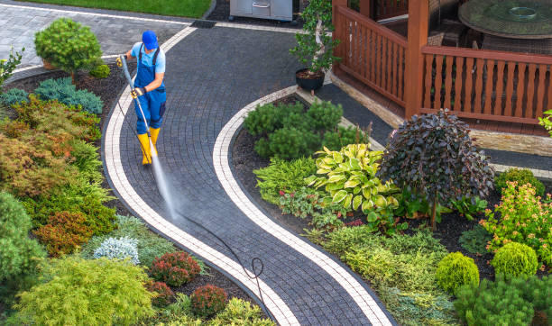 Best Roof Pressure Washing  in , PA